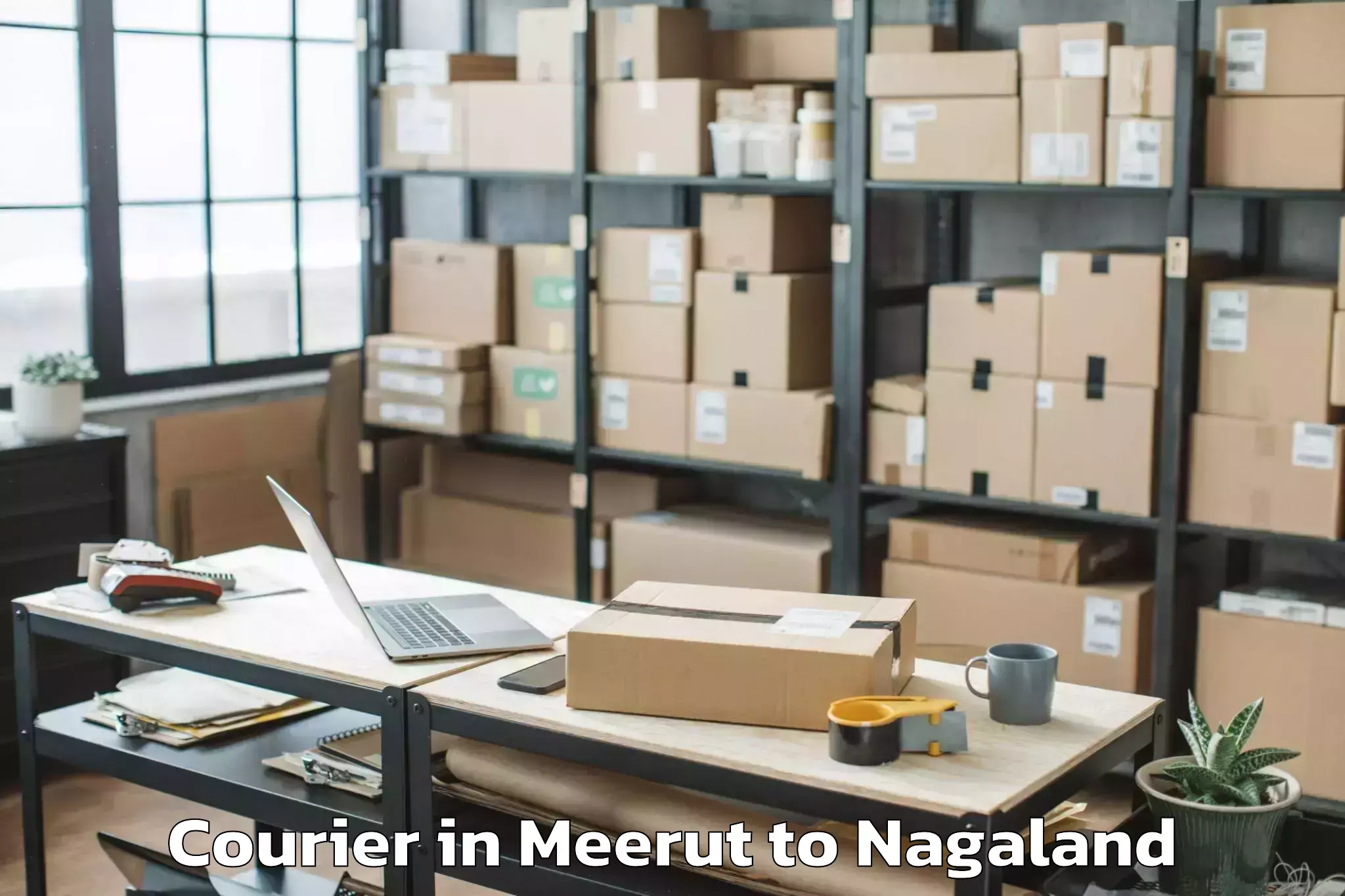 Reliable Meerut to Sechu Zubza Courier